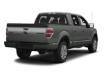 2013 Ford F-150 Platinum