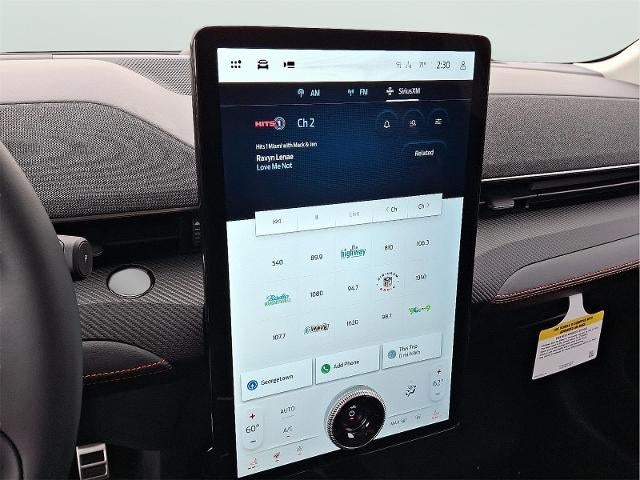 2025 Ford Mustang Mach-E Premium - Photo 13