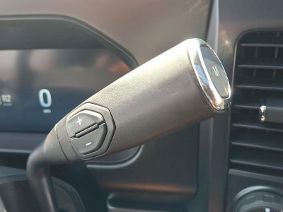 2025 Ford Super Duty F-250 Platinum