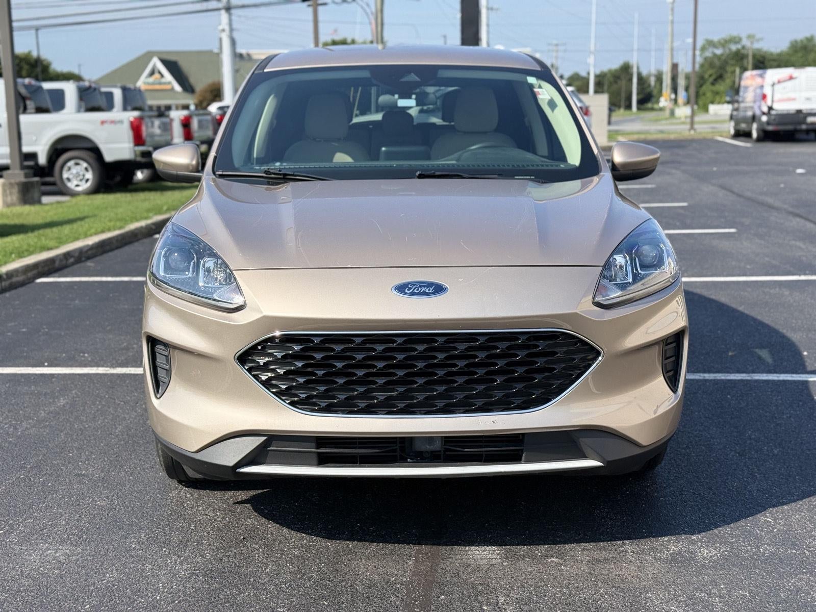 2020 Ford ESCAPE SE