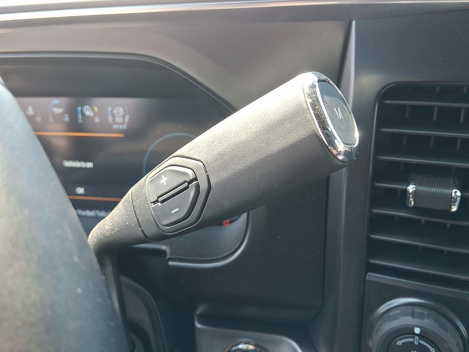 2025 Ford Super Duty F-250 Platinum