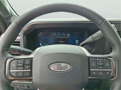 2025 Ford Super Duty F-350 Platinum