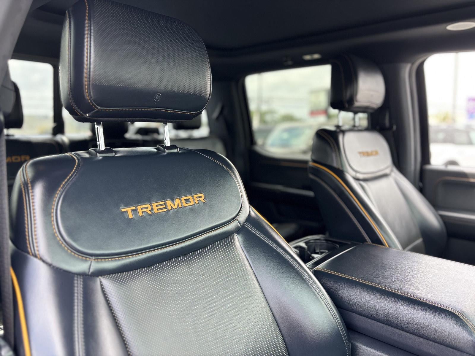 2021 Ford F-150 Tremor
