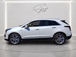 2023 Cadillac Xt5 FWD Premium Luxury