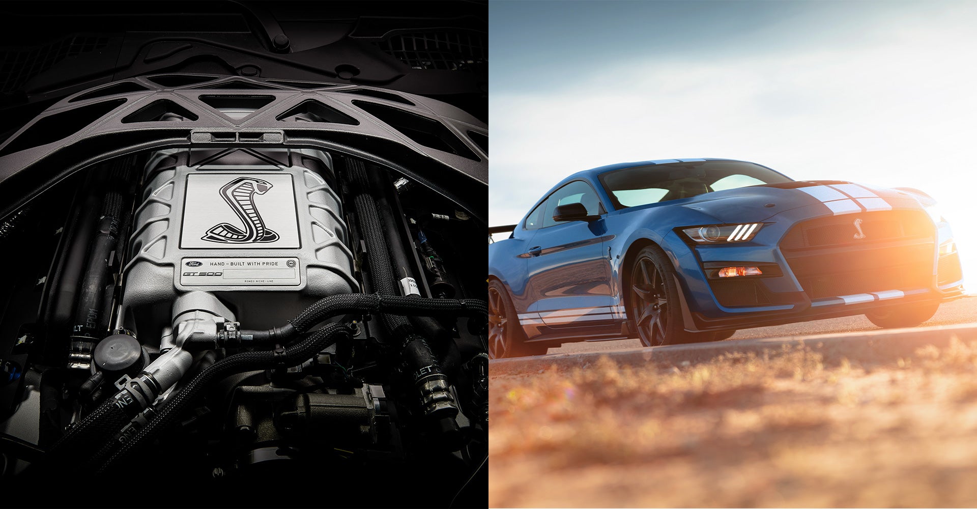 2022 Ford Mustang Performance 2022 Ford Mustang Performance