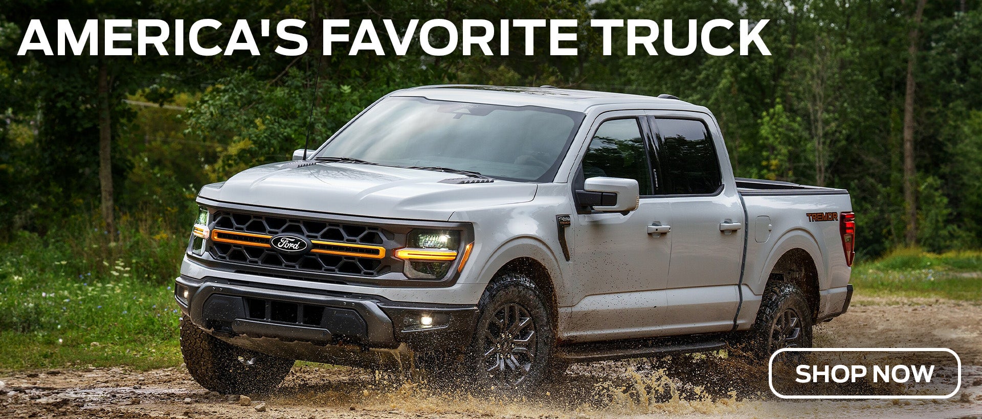 Ford F-150 Rehoboth Beach DE