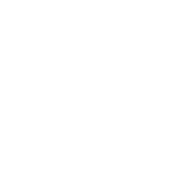 Ford 250 Logo